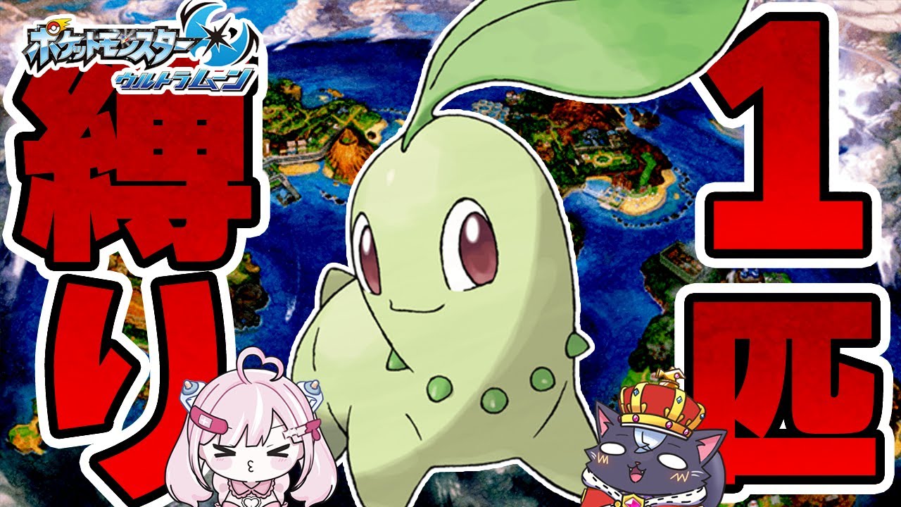 【1匹縛り】残すは四天王のみ！！ チコリータで始めるアローラ地方【ウルトラムーン/USUM/こくめう/個人Vtuber】