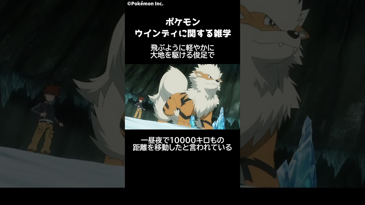ポケモン 1分でわかるウインディに関する豆知識 Pokemon #ポケモン #ポケモンsv #switch