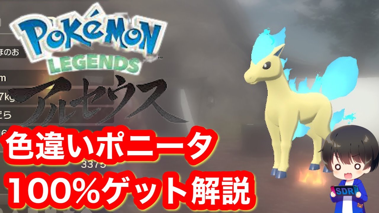 【レジェンズアルセウス】色違いポニータ確定ゲット方法解説！【Pokémon LEGENDS アルセウス】【ポケモンレジェンズ経験値】【ポケモンレジェンズアルセウス】