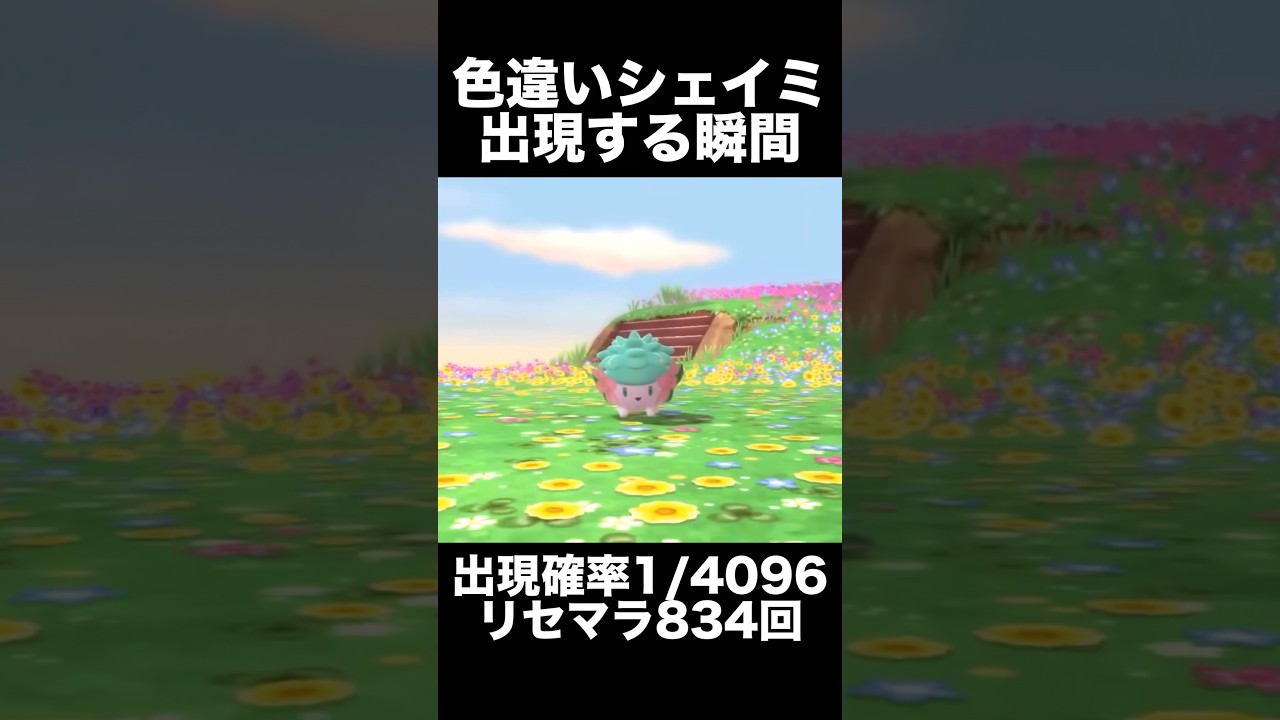 色違いシェイミが出現する瞬間 #ポケモンbdsp