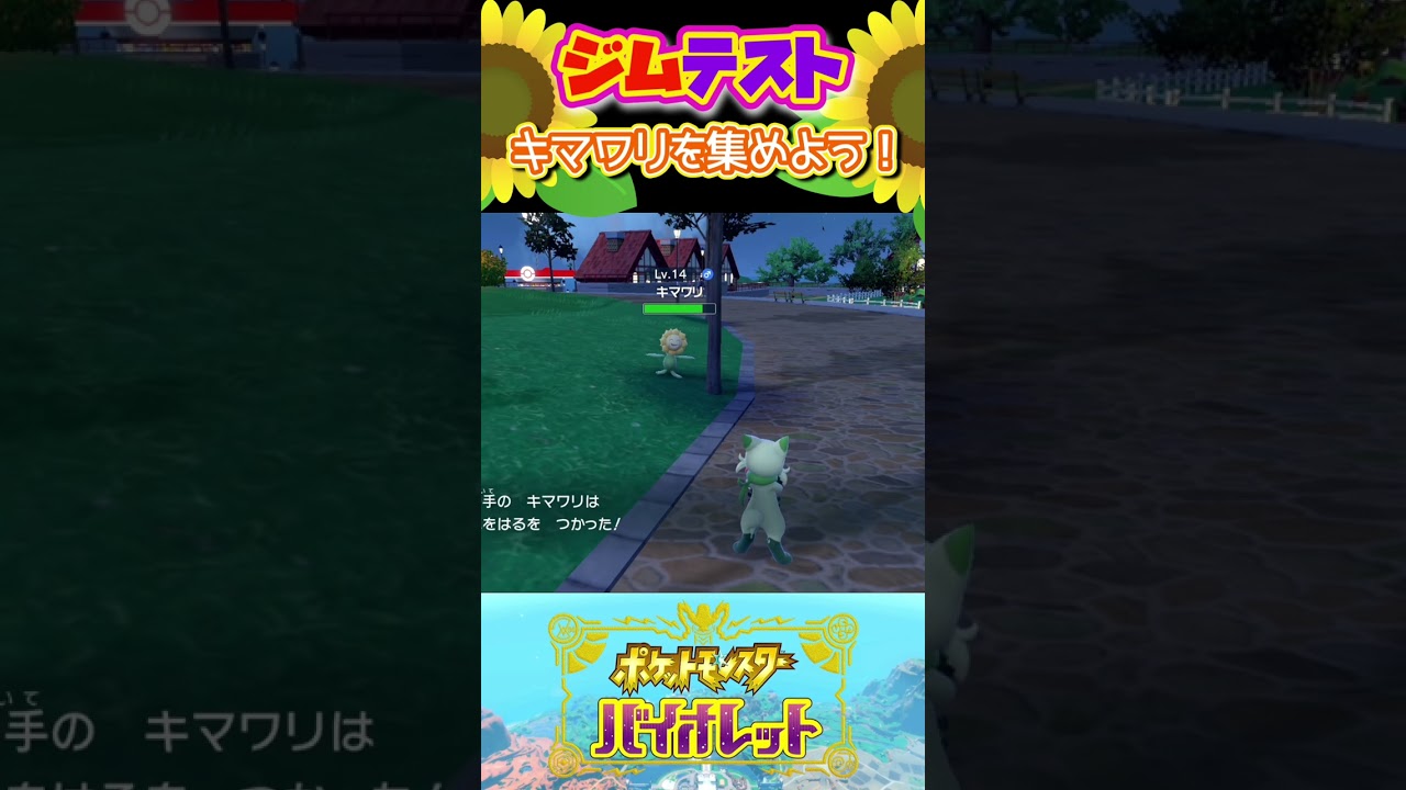 キマワリを集めよう！【ポケットモンスターバイオレット】