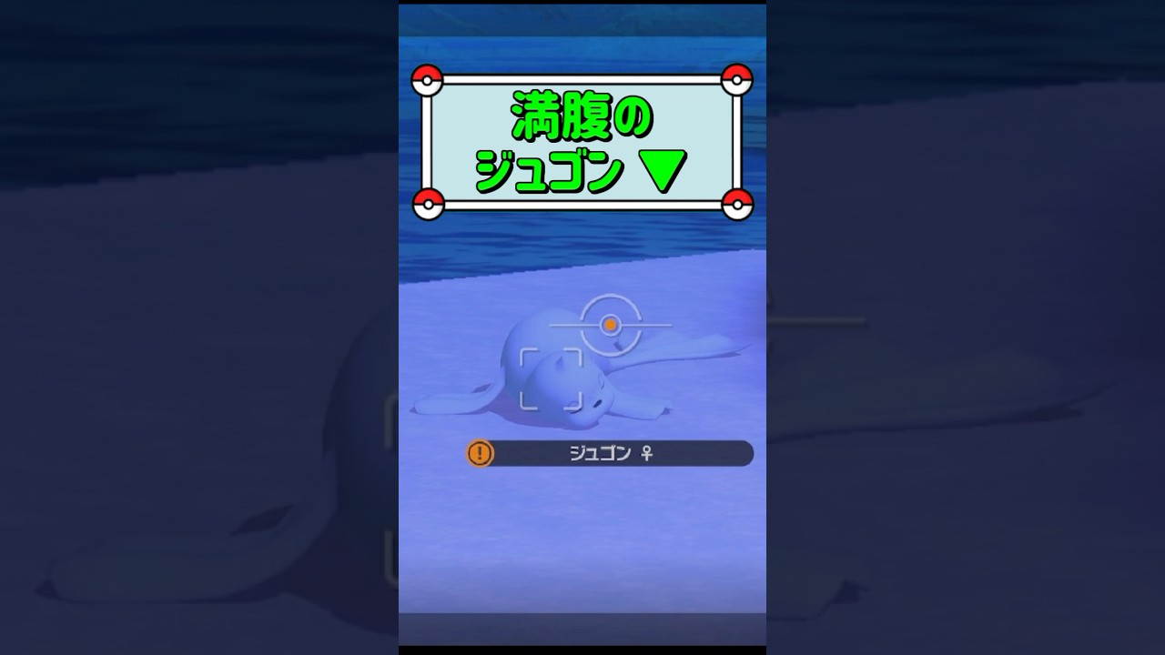 「満腹のジュゴン ▼」　#ポケモンスナップ　#ポケモン　#shorts