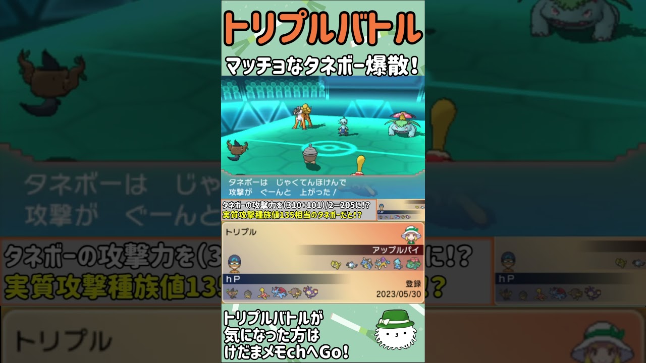 【ORASトリプル】マッチョなタネボー大爆発！！！！【トリプルバトル】