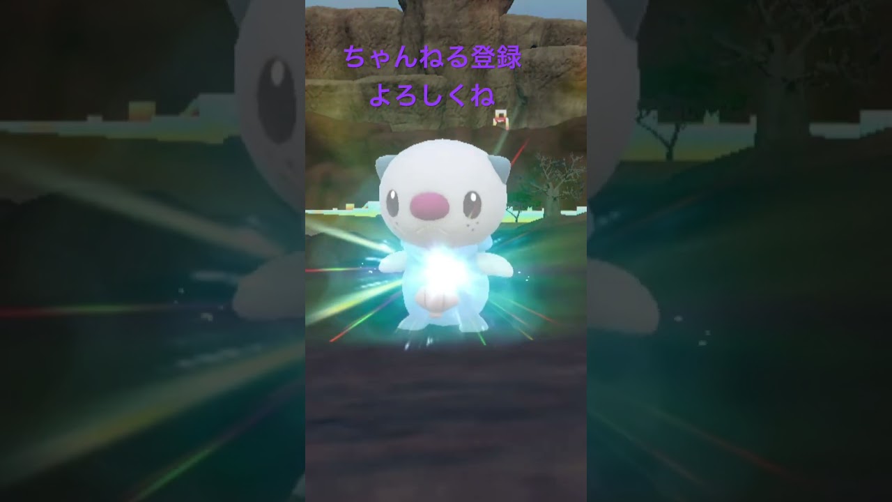 色違いミジュマル進化 #ポケモンsv #色違いポケモン