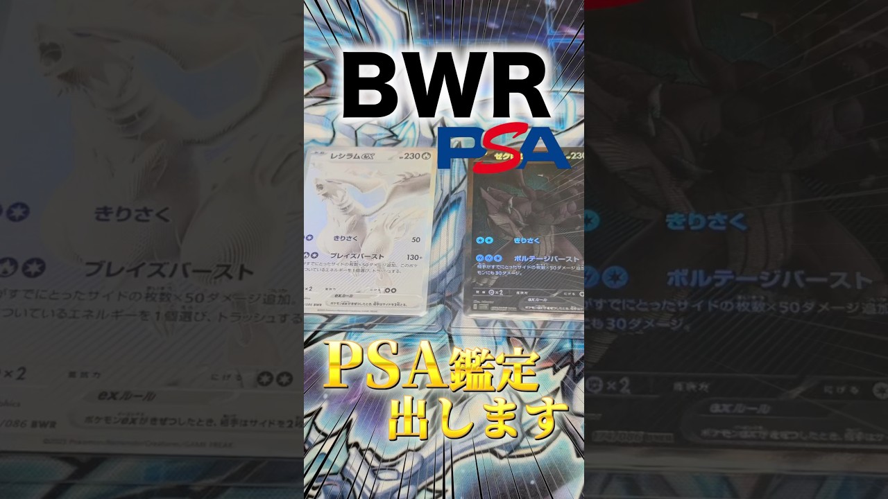 【ポケカ】自引きしたレシラムとゼクロムのbwrを初のPSA鑑定に出します！！(送り方などの説明付き) #ポケカ #ポケモンカード #ホワイトフレア #psa