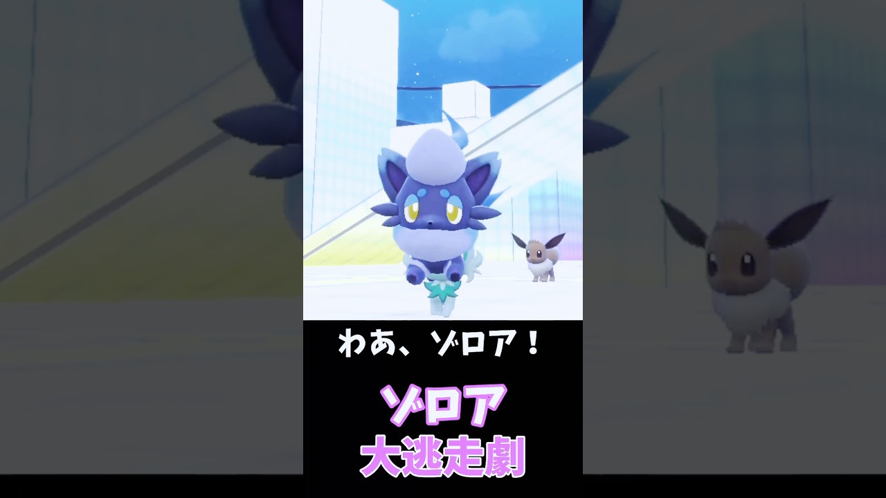 ゾロア、ニャオハから逃げきる？🦊📷【ポケモンSV】　#shorts
