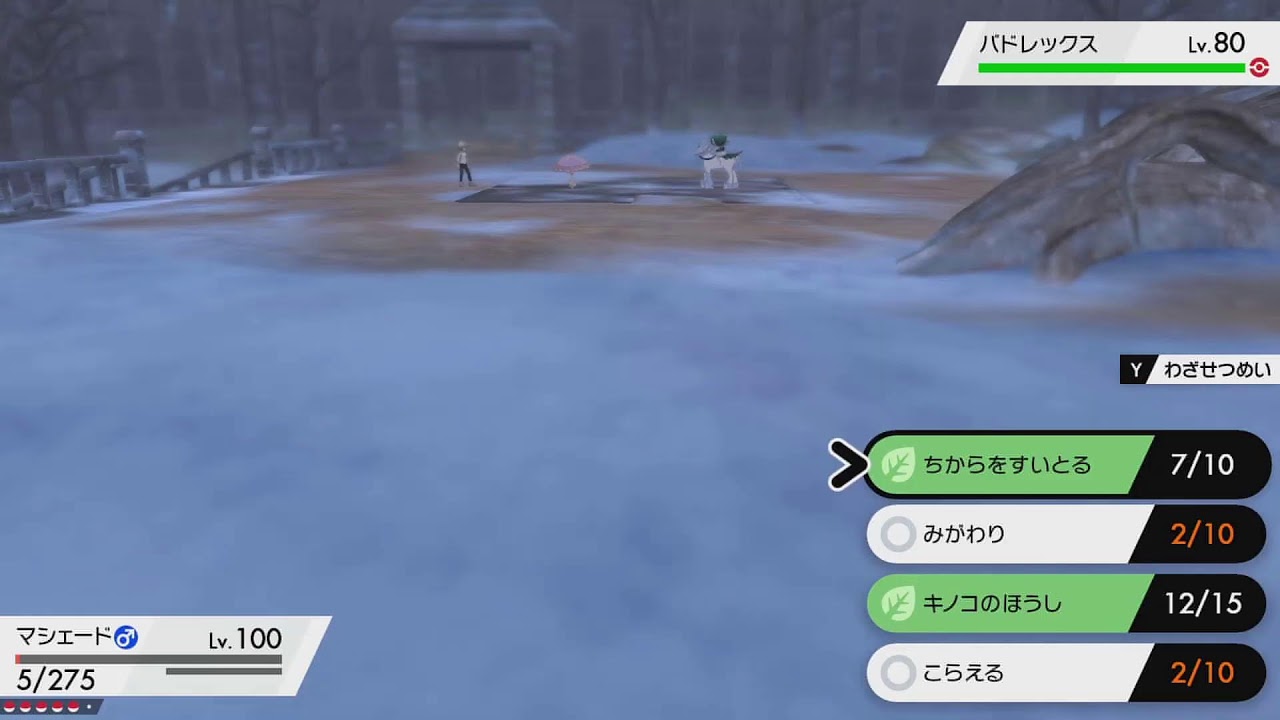 ポケモン剣盾 A0バドレックスをさらにストックするために厳選準備と検証する