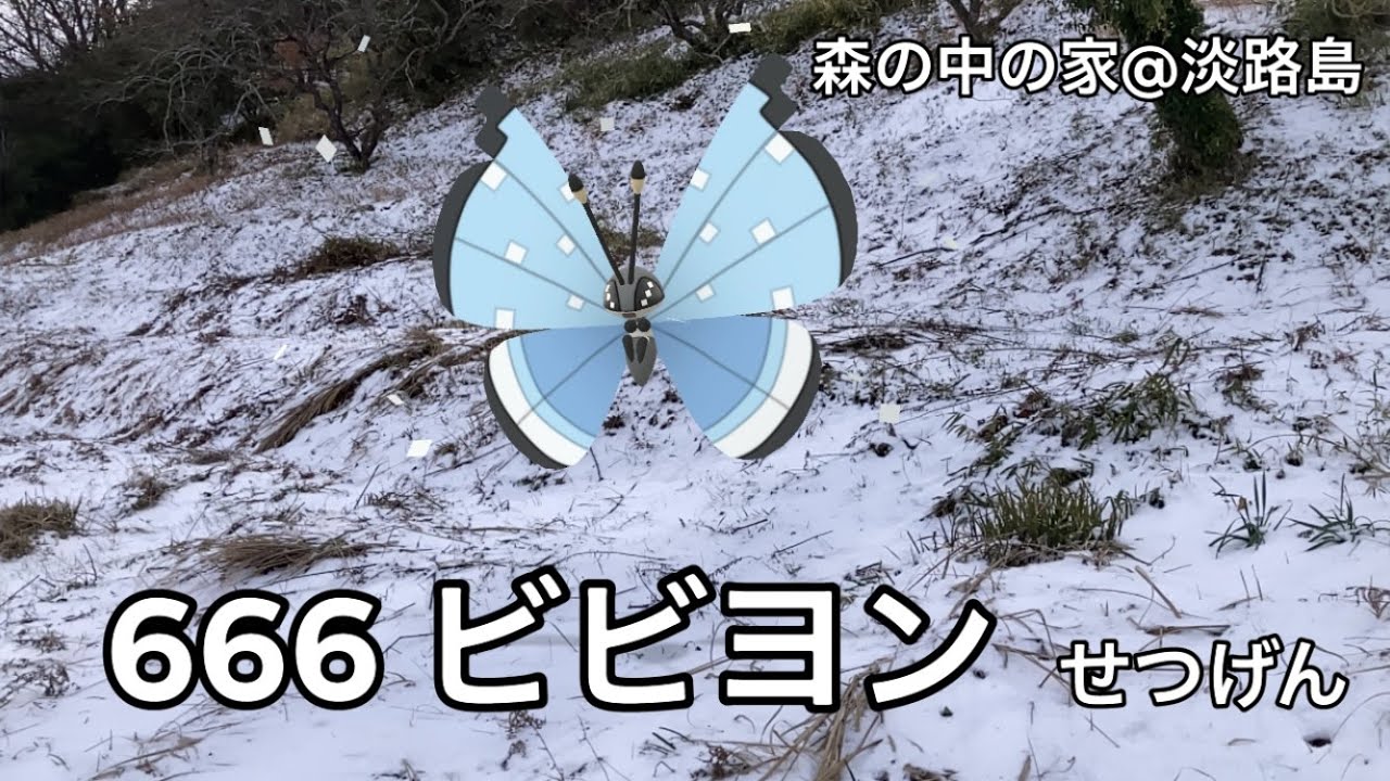 【ポケGO動くポケモンずかん】666ビビヨン｜Vivillon｜AR動画｜PoKeMoN GO AR【ポケモンGO】淡路島でも雪｜せつげん｜Tundra