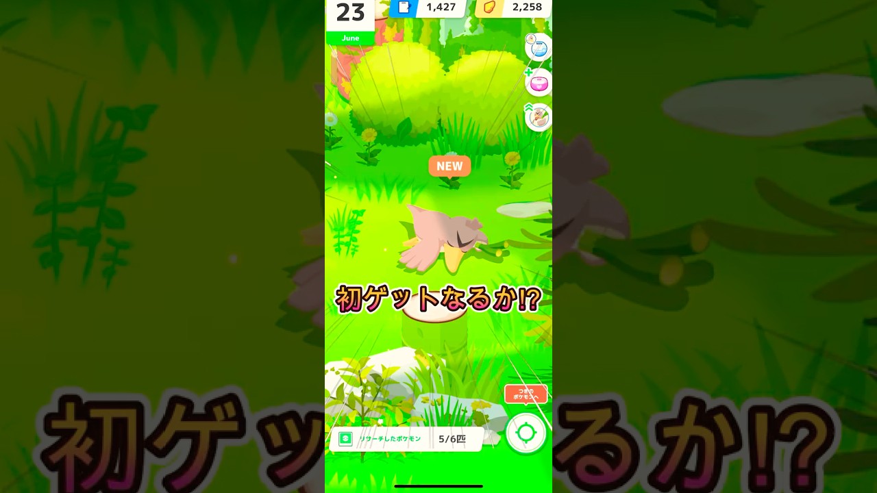 カモネギ初ゲットなるか⁉【ポケモンスリープ/Pokemonsleep】#Shorts #ポケットモンスター #ポケモンスリープ #寝起き