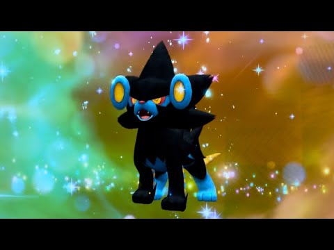 ルクシオがレントラーに進化する瞬間！！（ポケットモンスター  スカーレット・バイオレット）