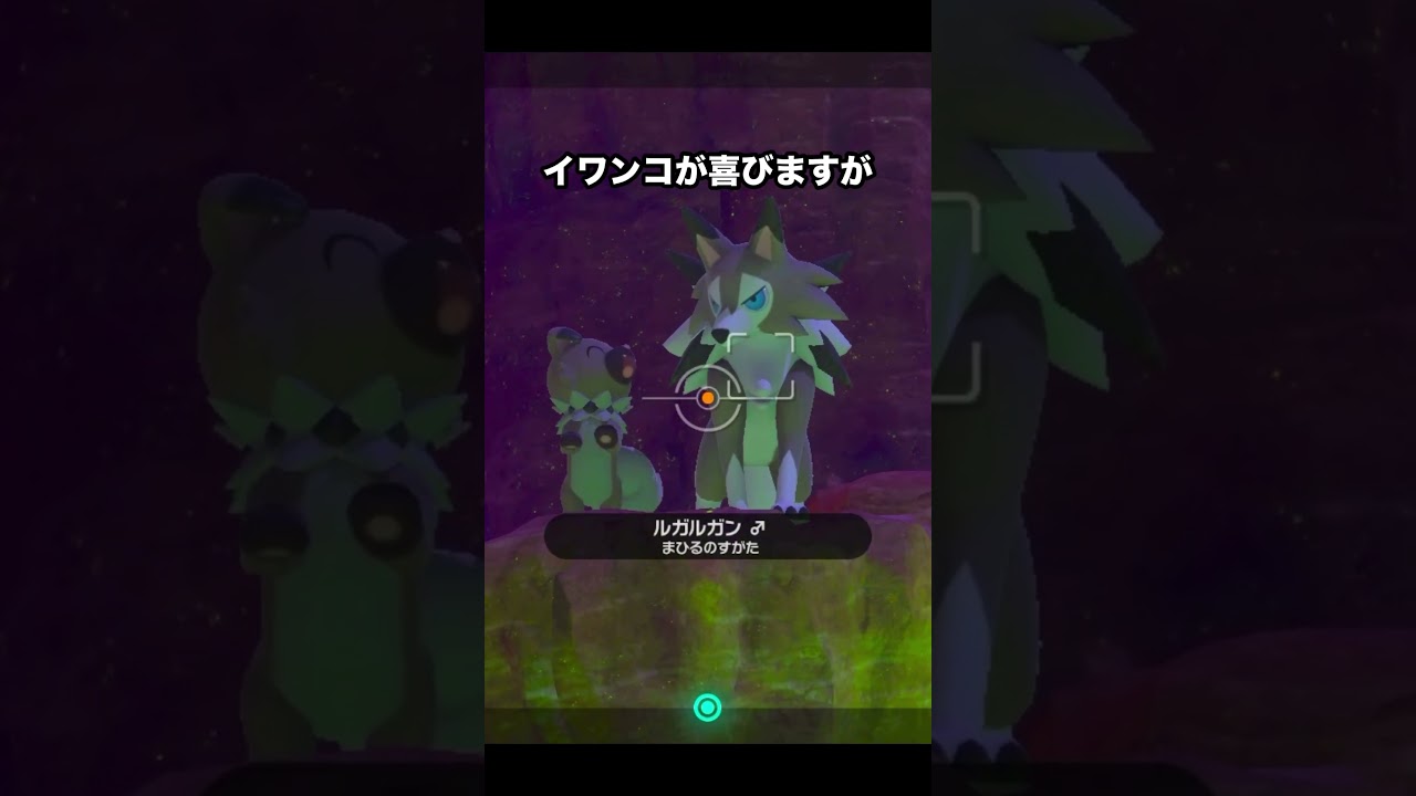 イワンコとルガルガンの親子愛　#ポケモン #newポケモンスナップ