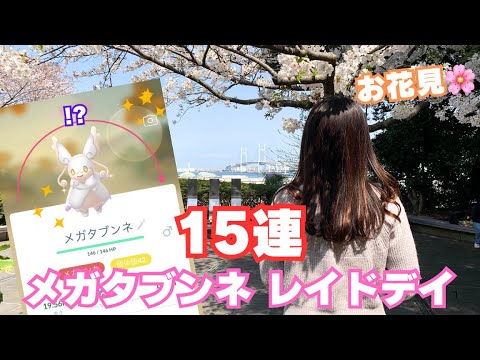 【メガタブンネ】色違い最強個体GET!?!?満開の桜をお届け!!!🌸🌸【港の見える丘公園】