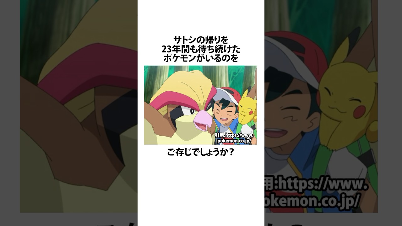 ㊗️65万回【ポケモン】ピジョットとの再会が感動的すぎる #雑学 #おもしろ #ポケモン #shorts