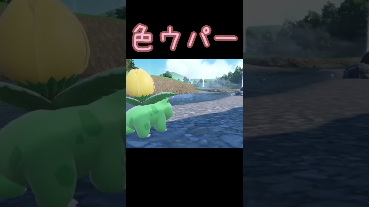 色ウパー【ポケモンSV】20250717