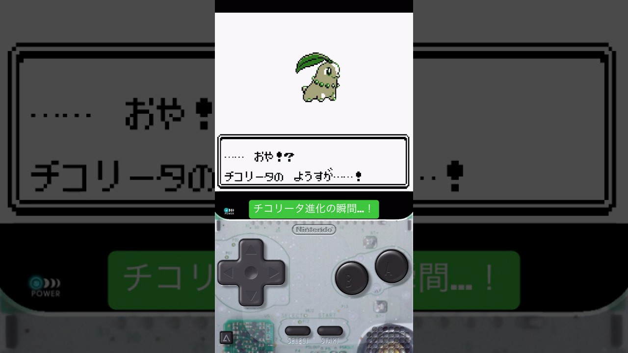 チコリータ進化の瞬間 #ポケモン #ゲーム実況 #レトロゲーム