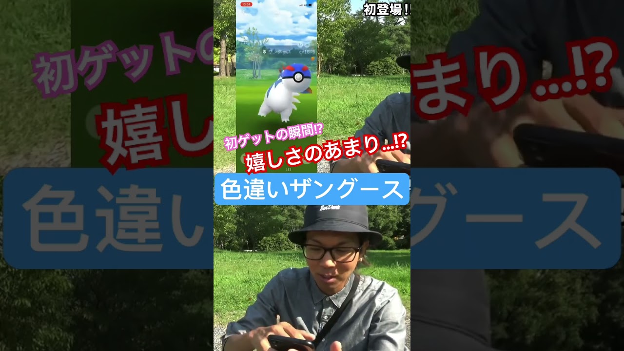 【猫鼬】コーフンが頂点に達した…！？ #pokémongo #ザングース #色違い #shorts