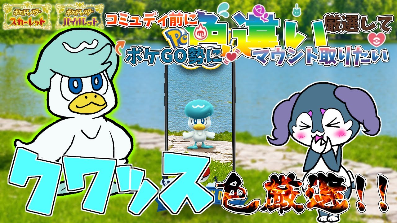 【ポケモンSV】クワッスのコミュデイなのでSVでオシャボ入り色違い狙います！【国際孵化】