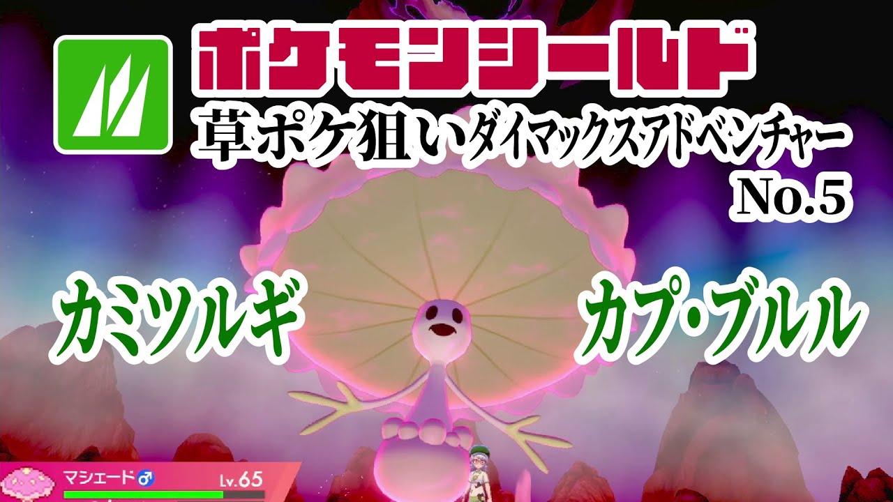 カミツルギ/カプ・ブルル探しダイアド No.5 2025/7/19 ポケモンシールド(剣盾)