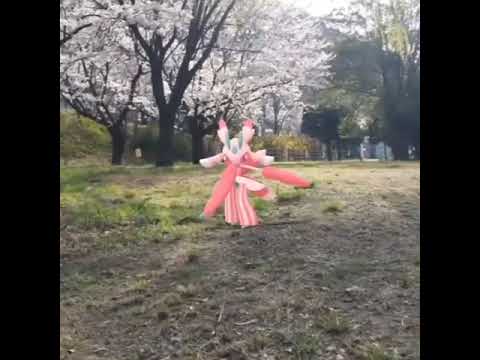 라란티스 ( Lurantis ) ラランテス ( 蘭螳花 )
