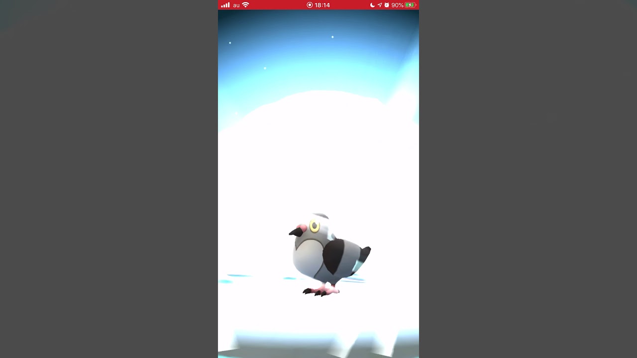 ［ポケモンGO］進化「マメパト→ハトボー→ケンホロウ」