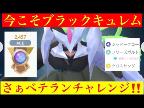 ブラックキュレムと挑む3度目のベテランチャレンジ‼️