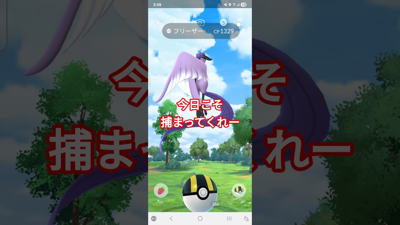 ガラルフリーザー降臨　今日こそもしかして　ポケモンGO