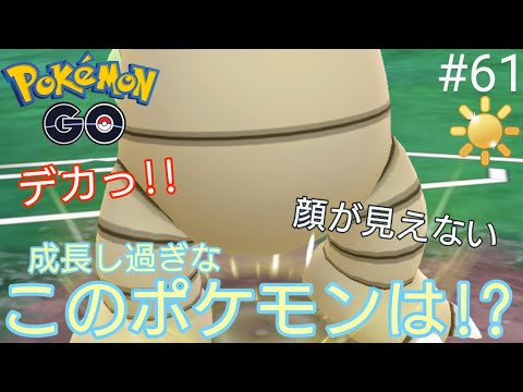 【陽光カップ】【スーパーリーグ】陽光カップだけにいい日差しで元気に育ちすぎたあのポケモンを使っていくよ〜。ちなみになかなか強いぜ‼︎アローラナッシー、ハガネール、ヤルキモノ