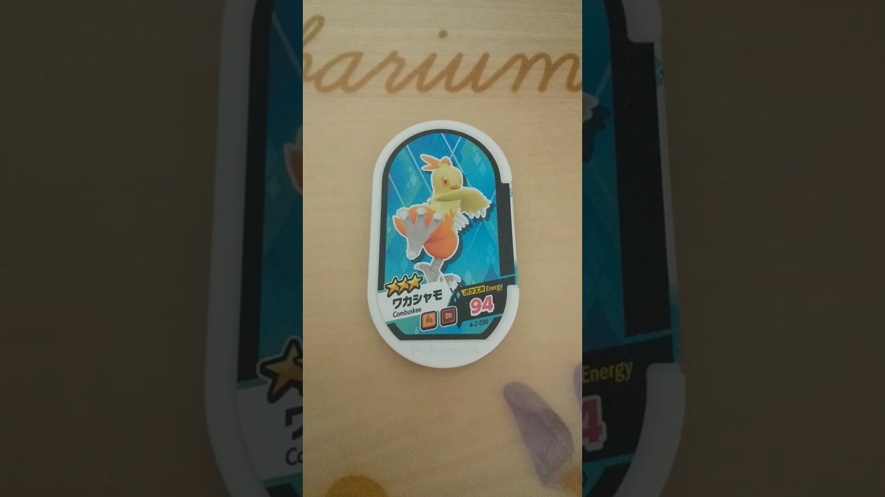 メザスタ　ワカシャモ　#YouTubeショート　#shorts　#ポケモンフレンダ　#ポケモン　#Pokemon　#おうち時間#ワカシャモ