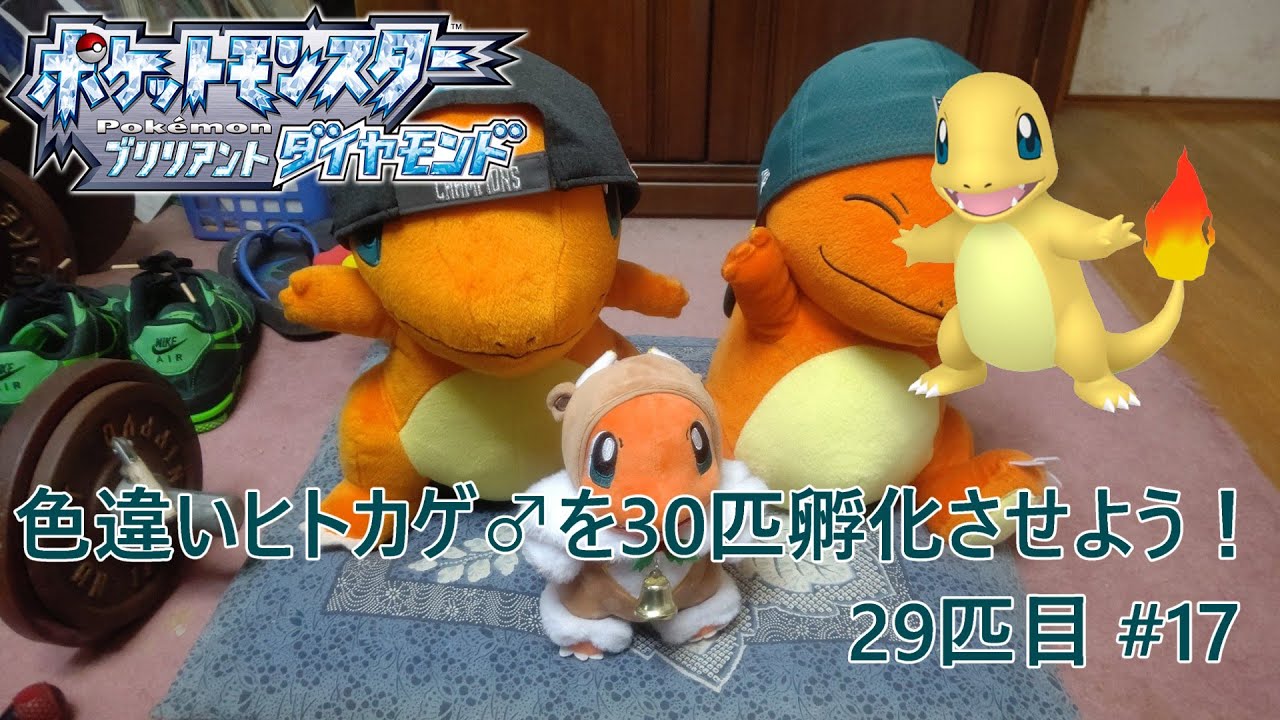 【ポケモンBDSP】色違いヒトカゲ♂を30匹孵化させよう！【色違い】 29匹目 #17