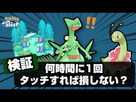 【ポケモンスリープ】ジュカインって何時間に1回タッチすればいいの？メガニウムと比較検証してみた