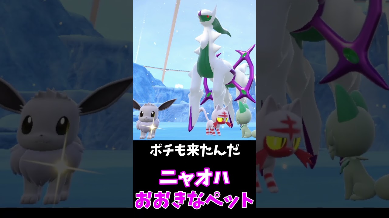 ニャオハ、ペットと怪獣見間違い🙀アルセウスとパルキア【ポケモンSV】　#shorts