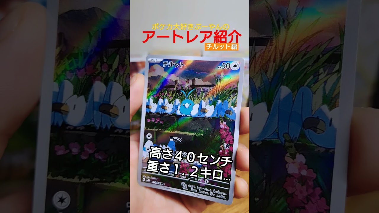 【ポケカ】ポケカ大好きぷーやんのＡＲ紹介「チルット編」！#ポケカ #開封 #紹介 #shorts #ポケモンカード #ポケモン #pokemon #オリパ