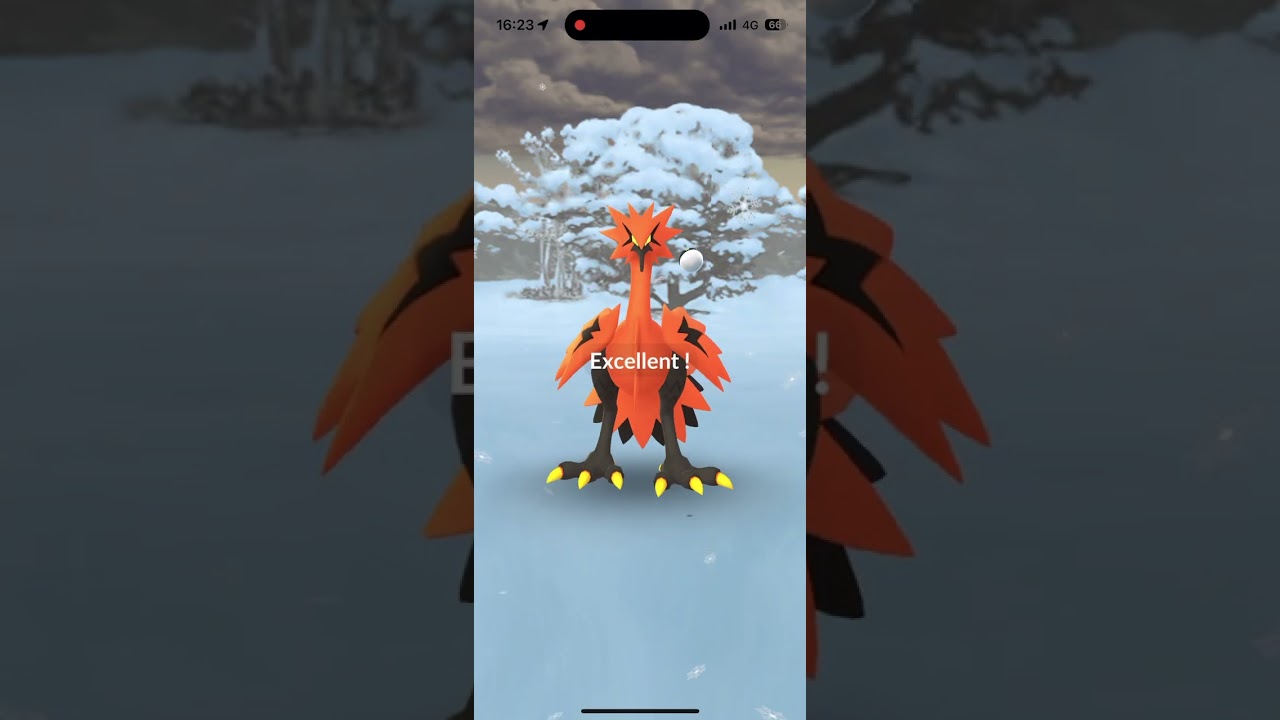 【ポケモンGO】おさんぽおこうでまたガラルサンダー出たけどExcellent出したのに一発で逃げられた🥲【ポケットモンスター】#shorts #ポケモン #ポケモンgo