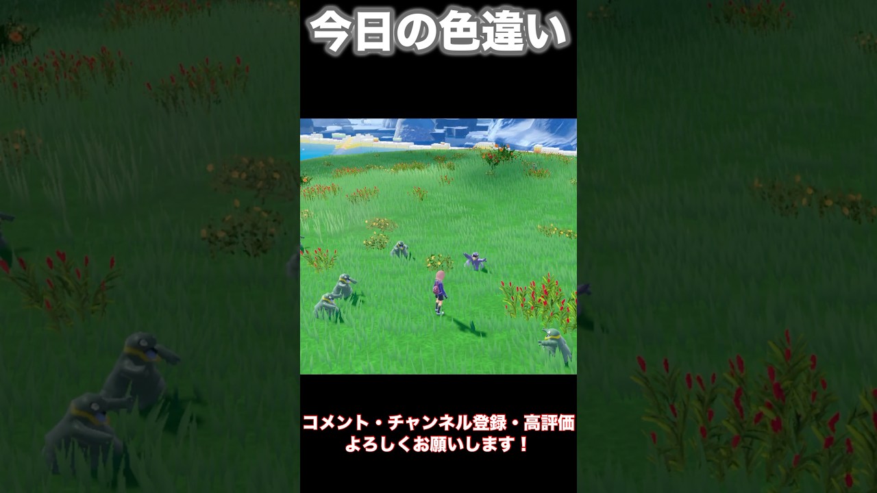 色違いアローラベトベターGET#shorts #shortvideo #short #pokemon #ポケモンsv #色違い