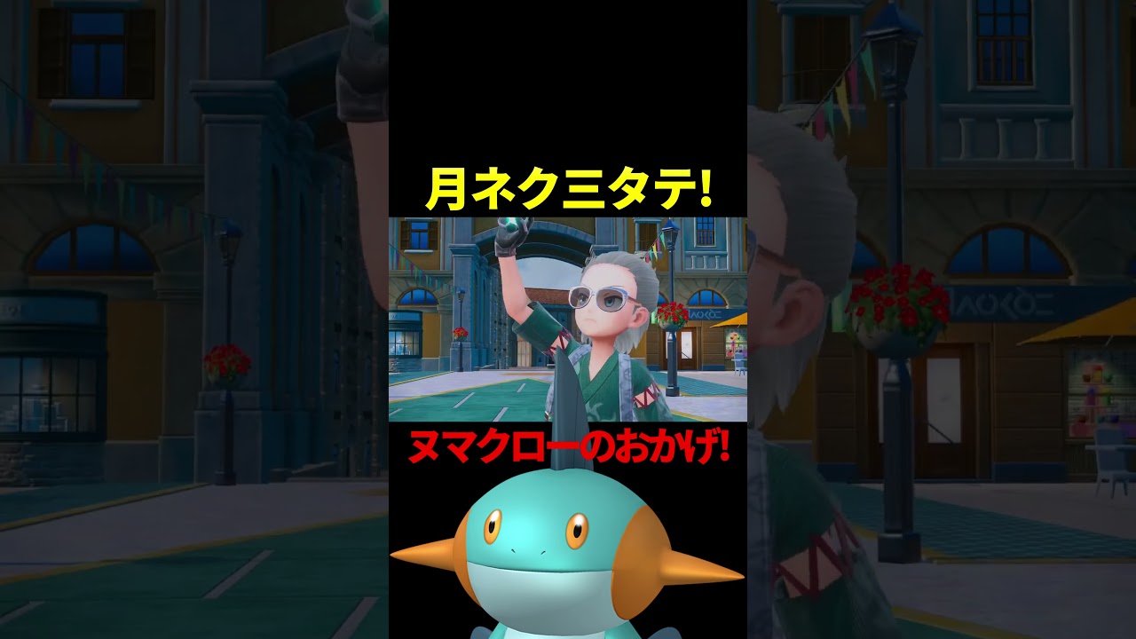 優秀サポーターヌマクロー【ポケモンSV】