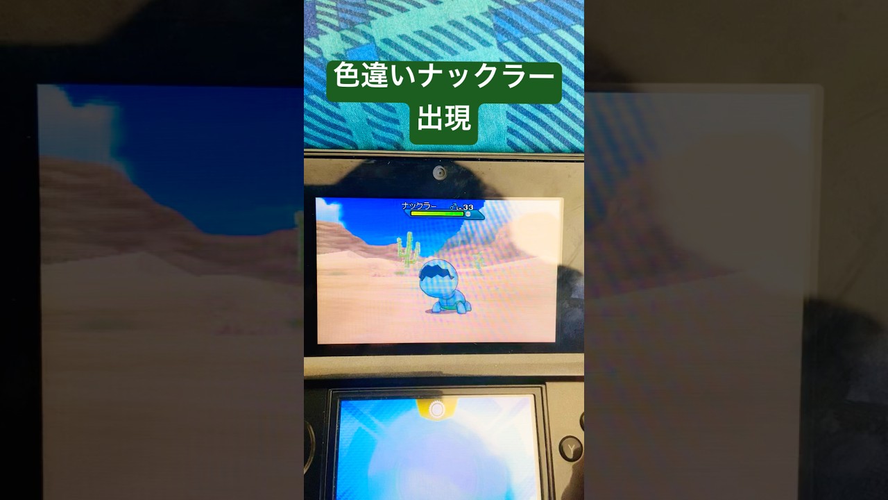 【ポケモン𝐔𝐒𝐔𝐌】色違いのナックラー捕獲　#shorts￼