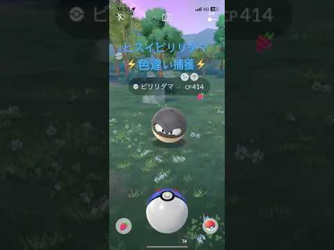 ポケモンGO ⚡️ヒスイビリリダマ色違い捕獲⚡️