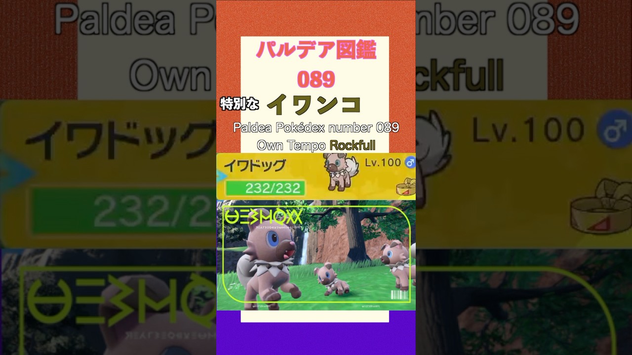 ポケモンSV パルデア図鑑089　特別なイワンコ　レベル100 #shorts