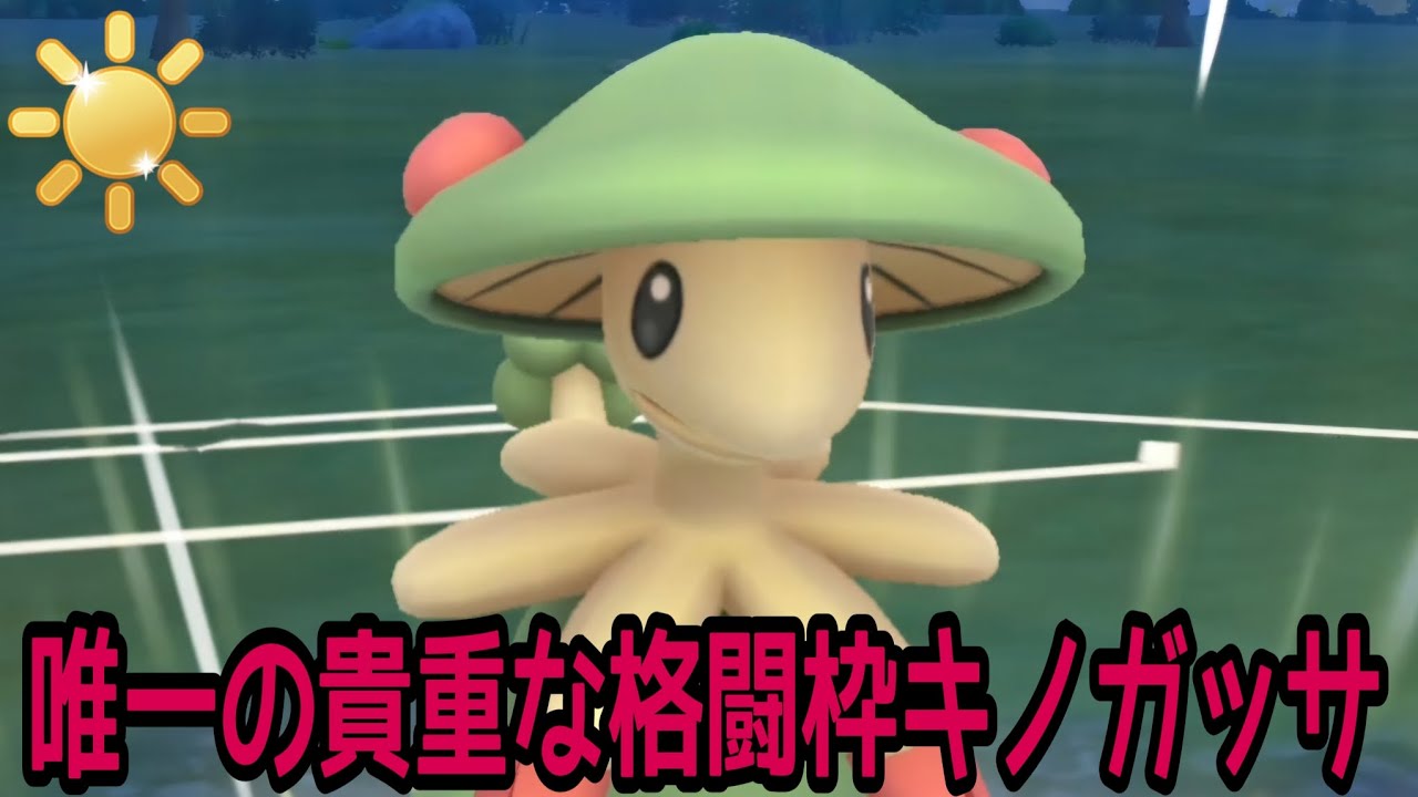 【ポケモンGO】陽光カップで唯一の格闘枠とも言える【キノガッサ】初手がぶっ刺さり！【PokemonGO】【陽光カップ】