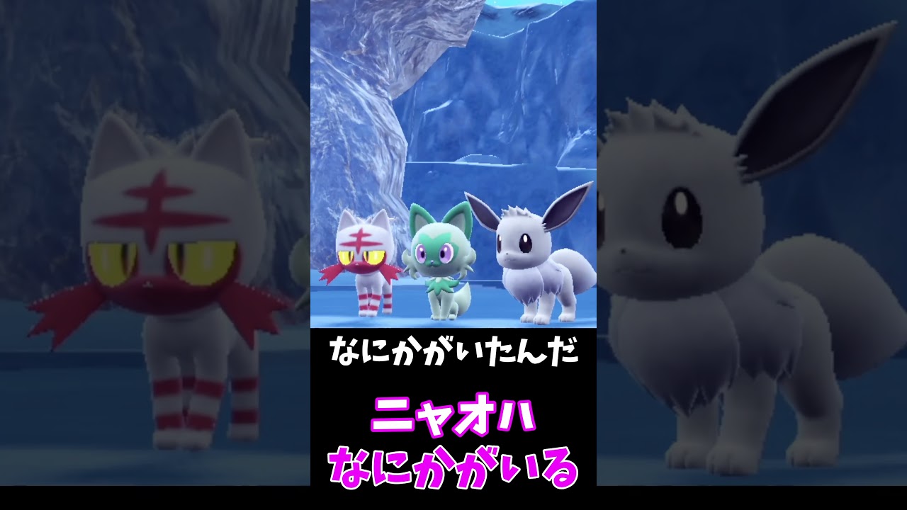 ニャオハ、見えないものが見えちゃう・・・🙀【ポケモンSV】　#shorts