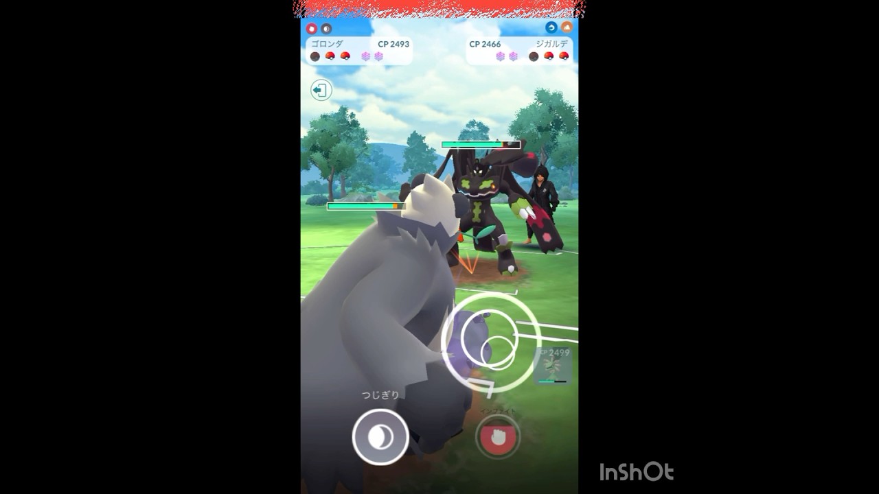 ゴロンダ使っていく‼️