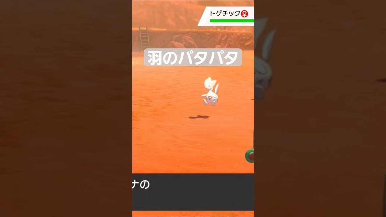 トゲチックの羽のパタパタかわいい笑#ポケモン剣盾 #ポケモン