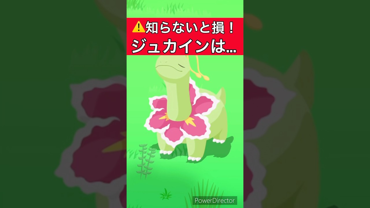 【ポケモンスリープ】ジュカインの欠点は... 意識しないとタッチ頻度次第で損する可能性が...!!