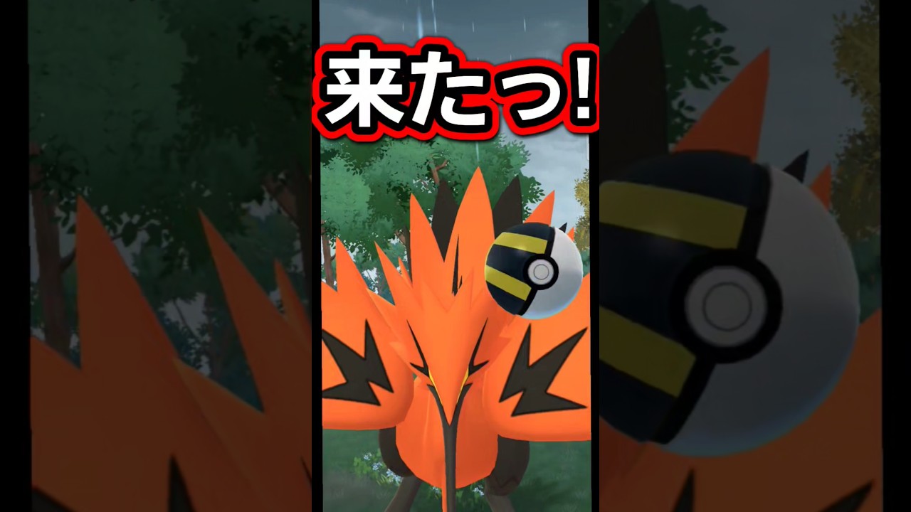 ガラルサンダー 捕獲チャンス到来!!【ポケモンGO】#ポケモンgo #games