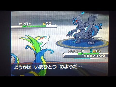 【実況】ポケットモンスターブラック 色違いジャローダ1匹旅　VSＮ
