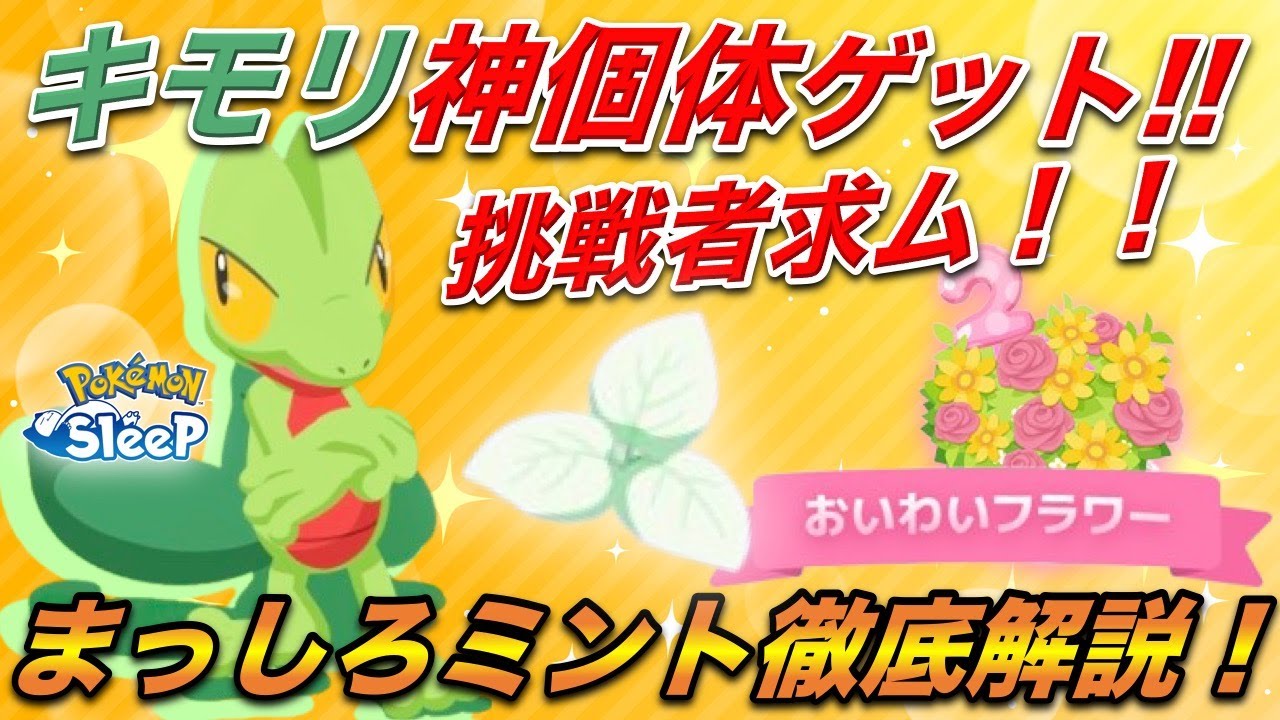 【挑戦者求ム】キモリの神個体、降臨。/ 2周年イベントを勝ち抜け！まっしろミント登場・おいわいフラワー立ち回りなど徹底攻略！