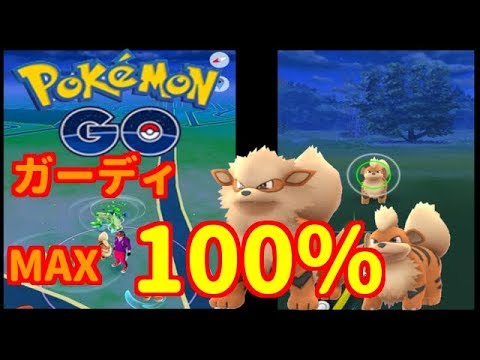 【ポケモンGO】ガーディ個体値100%発見♪【PokemonGO】