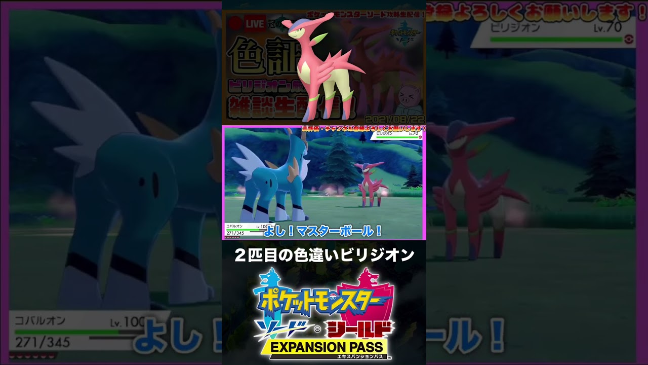 2匹目の色違いビリジオンと邂逅した男【ポケモン剣盾】