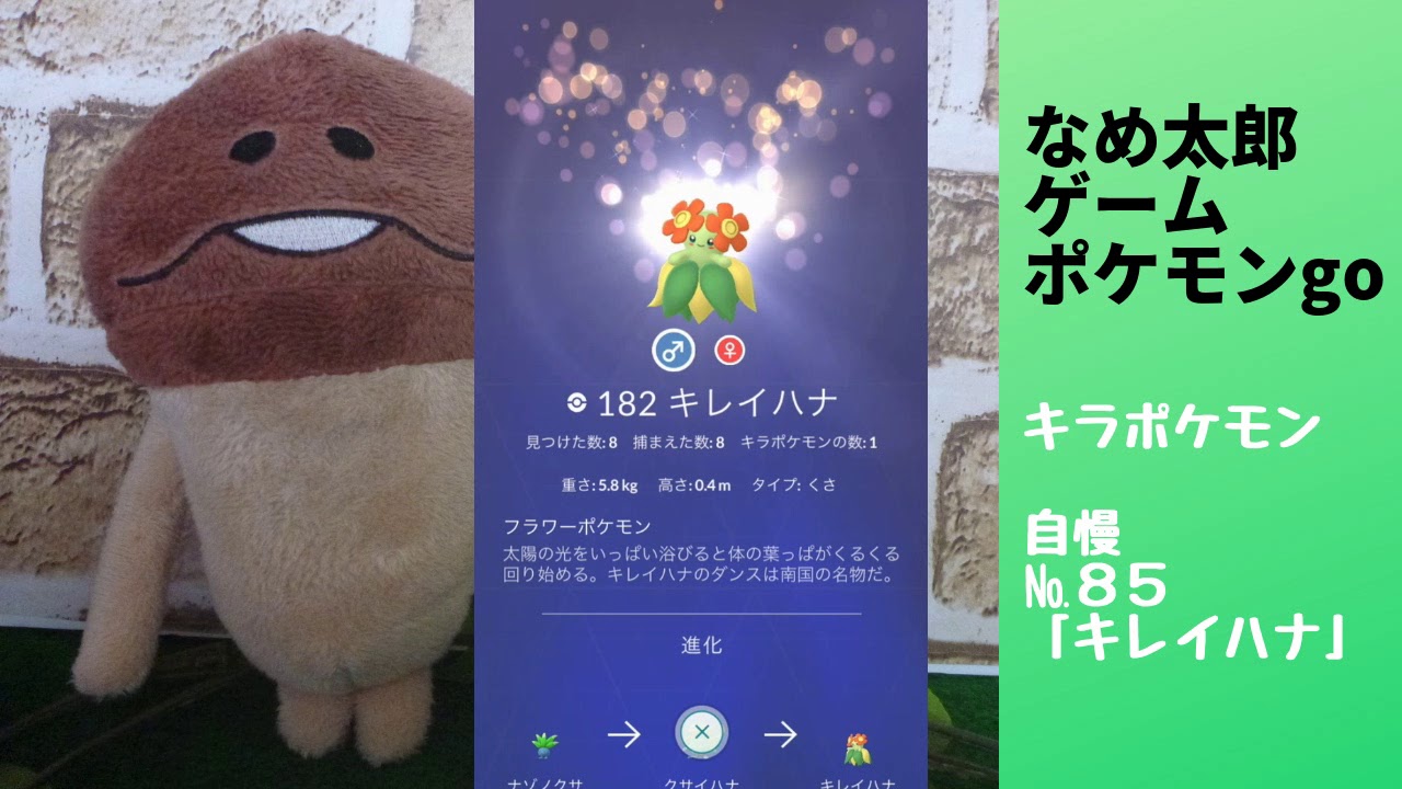 なめ太郎のキラポケモン自慢コーナーナンバー８５、「キレイハナ」【ポケモンgo】