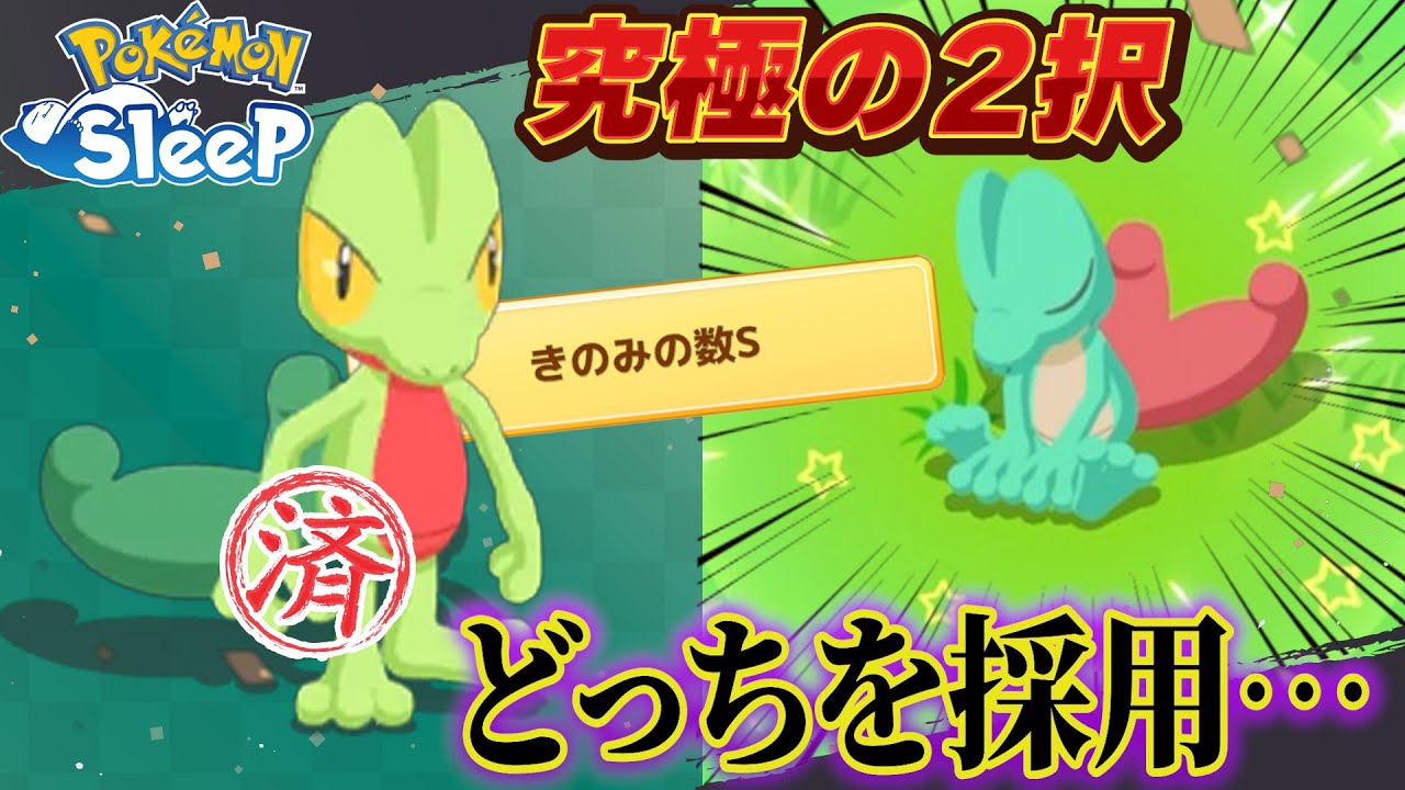 【賛否両論】色違いキモリか厳選済キモリ…！あなたの意見を知りたい！【ポケモンスリープ】